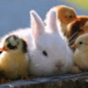 Meet your Posher, Gwen